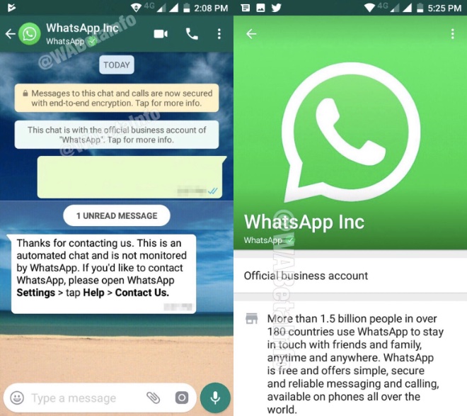 How to get whatsapp chat link