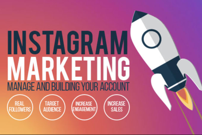 How to organically grow your instagram followers