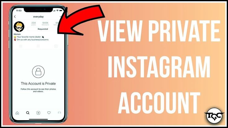 How to see new posts on instagram