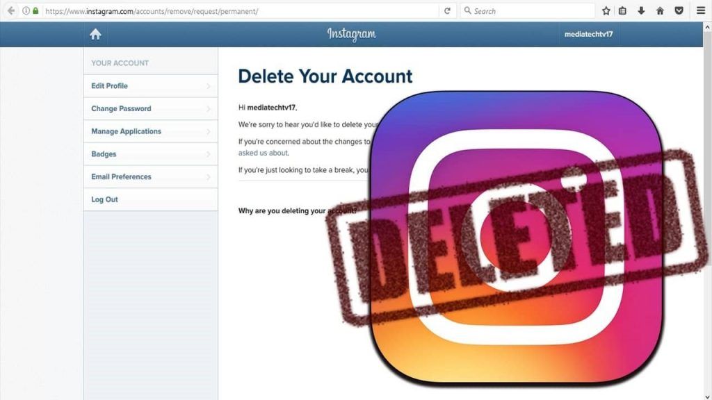 How to look at deleted instagram accounts