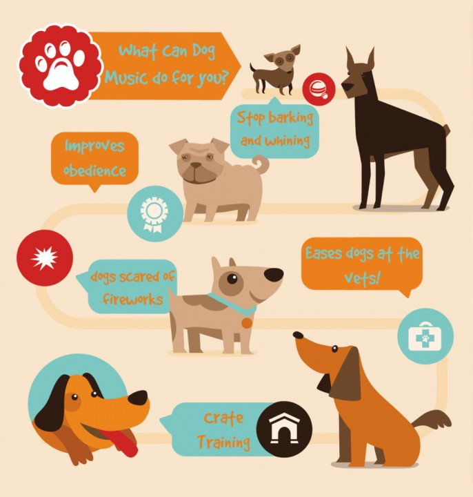 How to grow your pets instagram