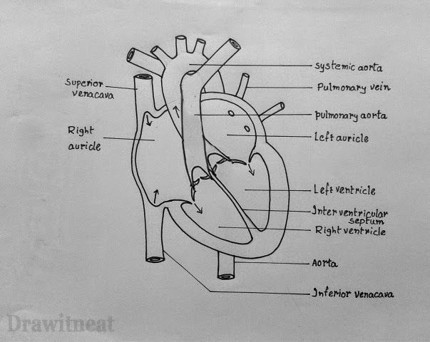 How to do a facebook heart