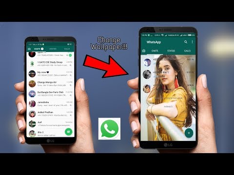 Whatsapp how to tag everyone