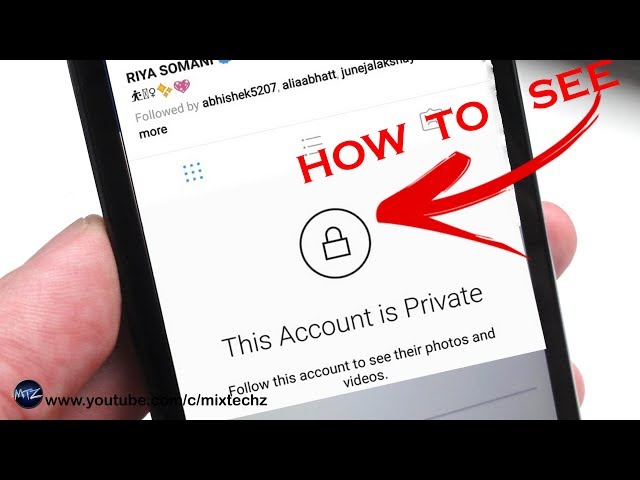 How to see followers of private instagram account