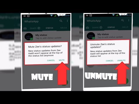 How to mute whatsapp calls