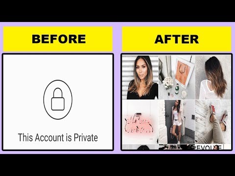 How to see posts of a private instagram account