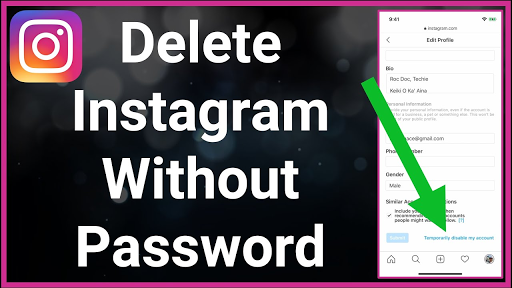 How to search instagram without account