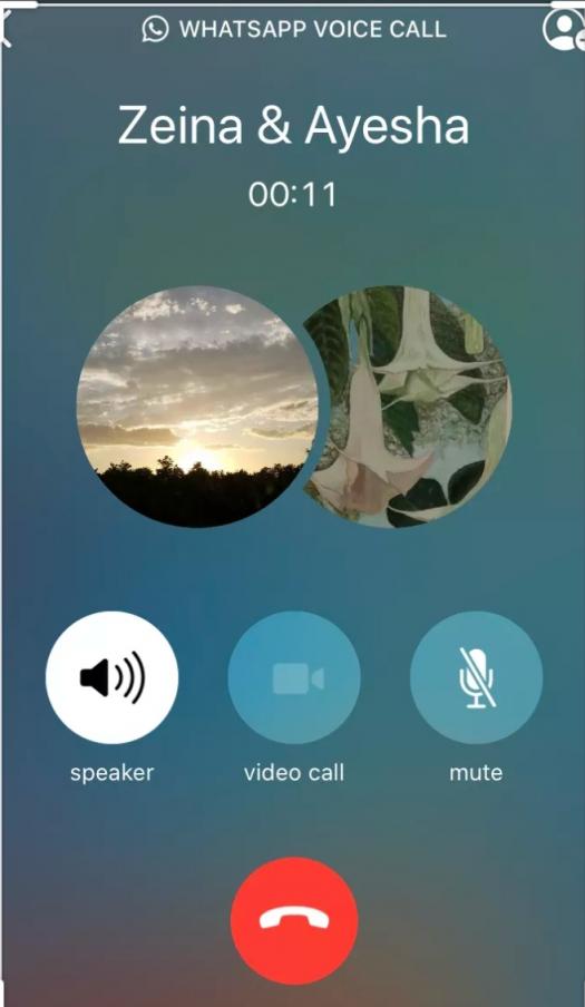 How to mute whatsapp call in iphone