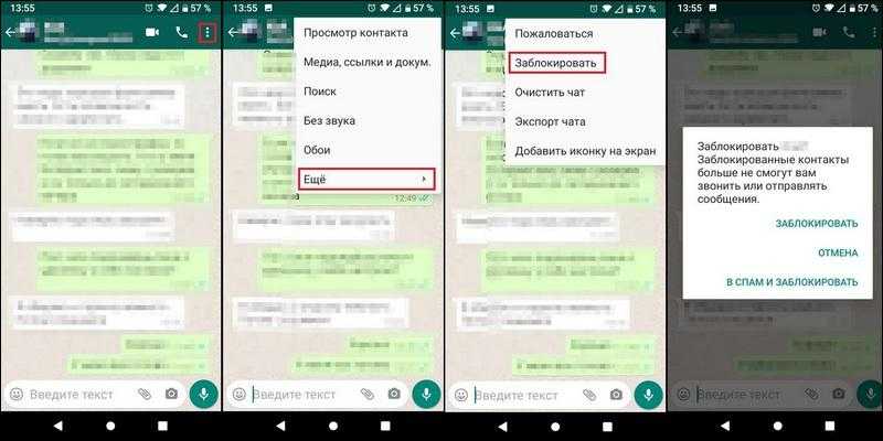 How to check whatsapp messages without showing online