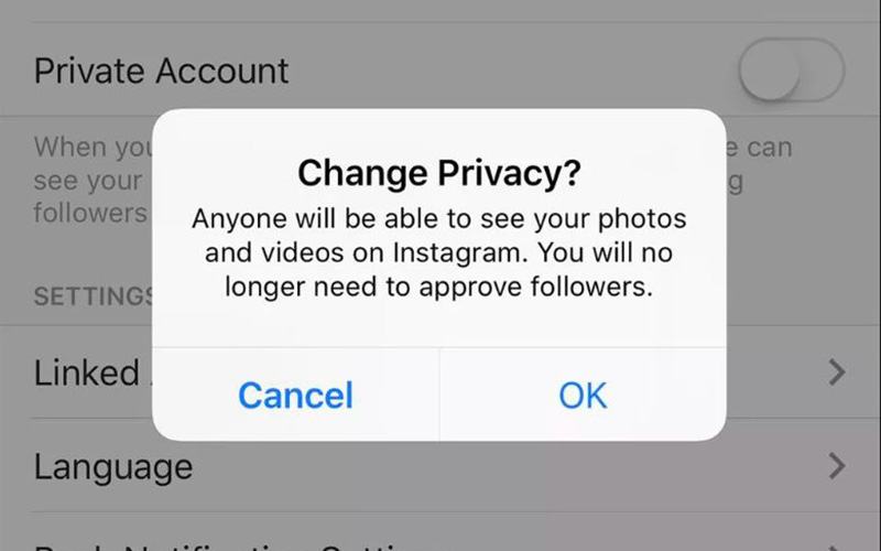 How to see the followers on a private instagram